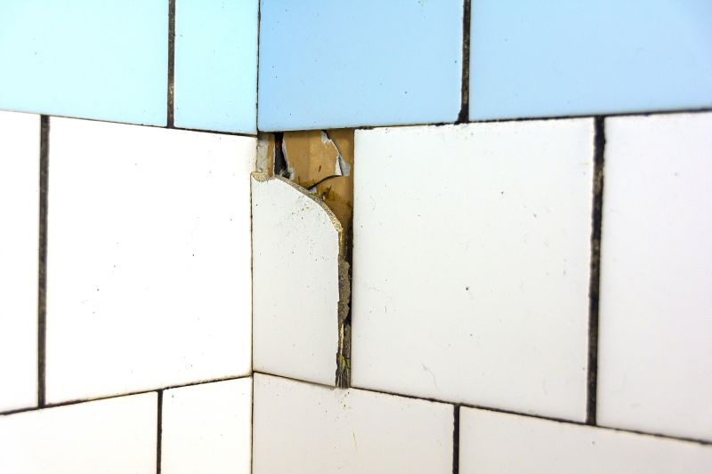 Broken Tile Replacement